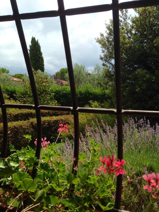 Rosso Del Chianti Bed & Breakfast Panzano in Chianti Bagian luar foto